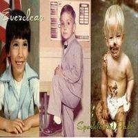 Everclear : Sparkle and Fade